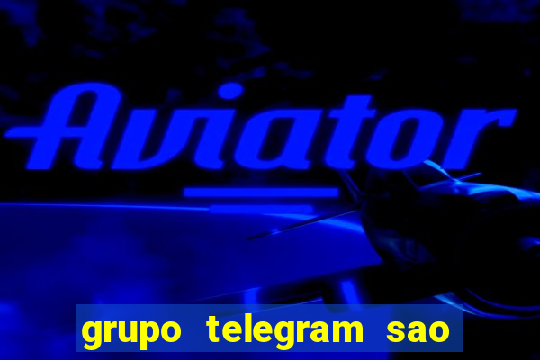 grupo telegram sao jose do rio preto